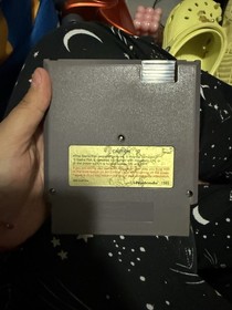 Crystalis Nintendo NES