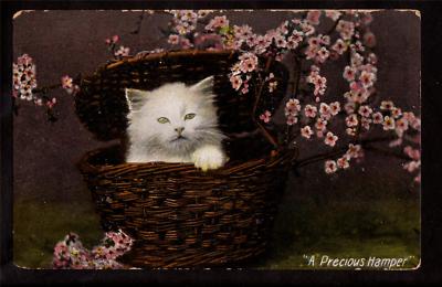 cat hamper