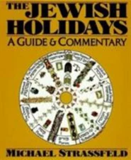 The Jewish Holidays - Paperback By Strassfeld, Michael - GOOD
