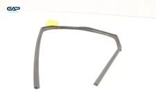 2021 - 2023 NISSAN ROGUE REAR LEFT SIDE DOOR WINDOW GLASS RUN CHANNEL SEAL OEM