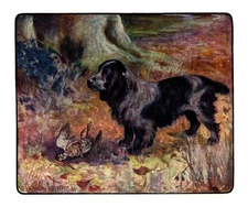 1906 Antique Cocker Spaniel Print Stokes Hunting Dog Art Illustration 6508a