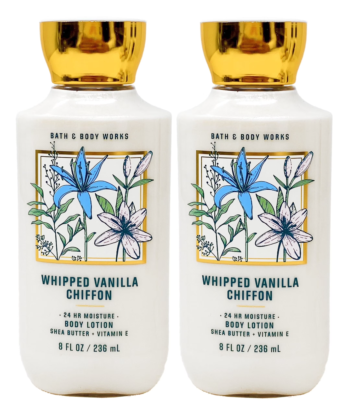 Bath & Body Works Whipped Vanilla Chiffon Body Lotion ( Pack of 2)