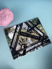 2011 Tree to Tree: The Design of a Tree Canopy Walk by Metcalfe Architecture & D