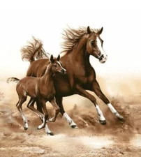 Three  Individual Paper Luncheon Decoupage Eco-Friendly  Napkins Wild Horses New