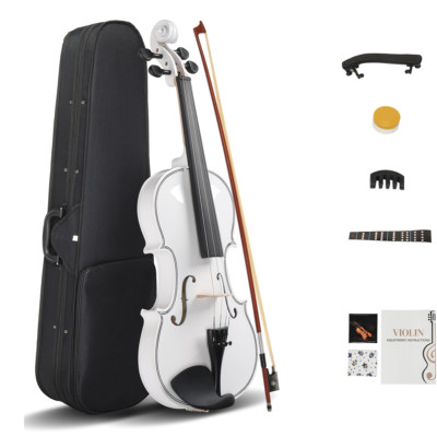 Full Size 4/4 Violin Set for Adults Beginners Students with Hard Case,Violin Bow