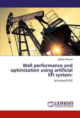 Balkiss Zemmel | Well performance and optimization using artificial lift system: