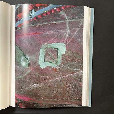 Dennis Oppenheim : Body to Performance, 1969-73 by Amy Van Winkle