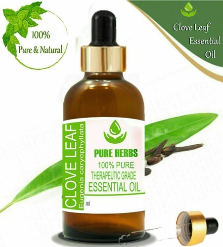 Pure Herbs Clove Leaf 100% Pure & Natural Eugenia Caryophyllata Essential Oil - Picture 9 of 9