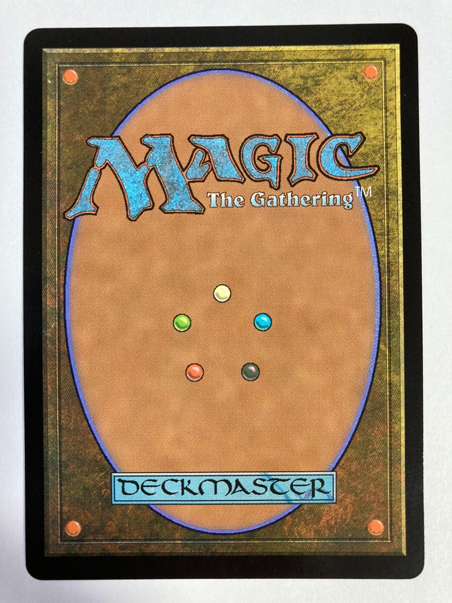 MTG Magic The Gathering Hilda's Winter Crown R 0247 Card