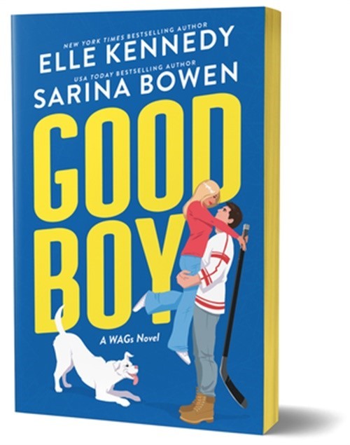 Good Boy (Paperback or Softback)
