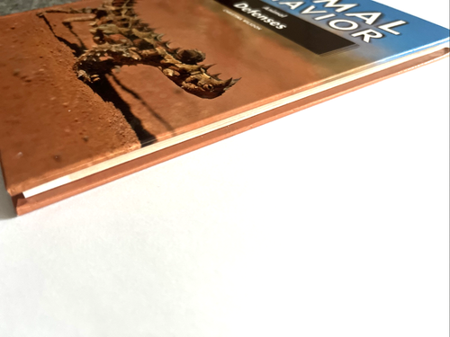 Animal behaviour Behavior Animal Defended Christina Willson Thorny Devil - Bild 4 von 15