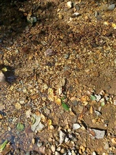 Image Picture Photo Wallpaper Background Beautiful Art #100