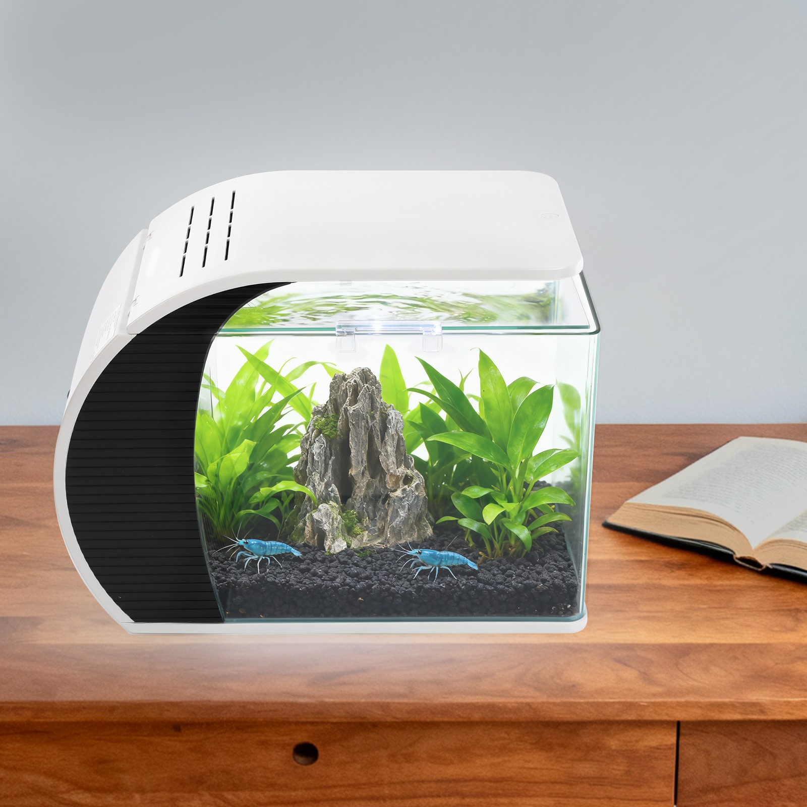 Acquario in vetro con pompa e illuminazione LED foto 4