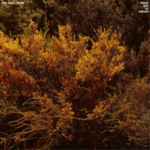 Jefre Cantu-Ledesma Tracing Back the Radiance (Vinyl LP) 12" Album