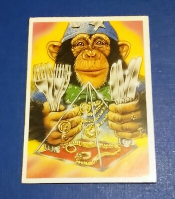 WIZARD T BAGG PRESENTS PYRAMID POWER BROOKE BOND PG TIPS TRADE CARD 1996 # 6 WB 