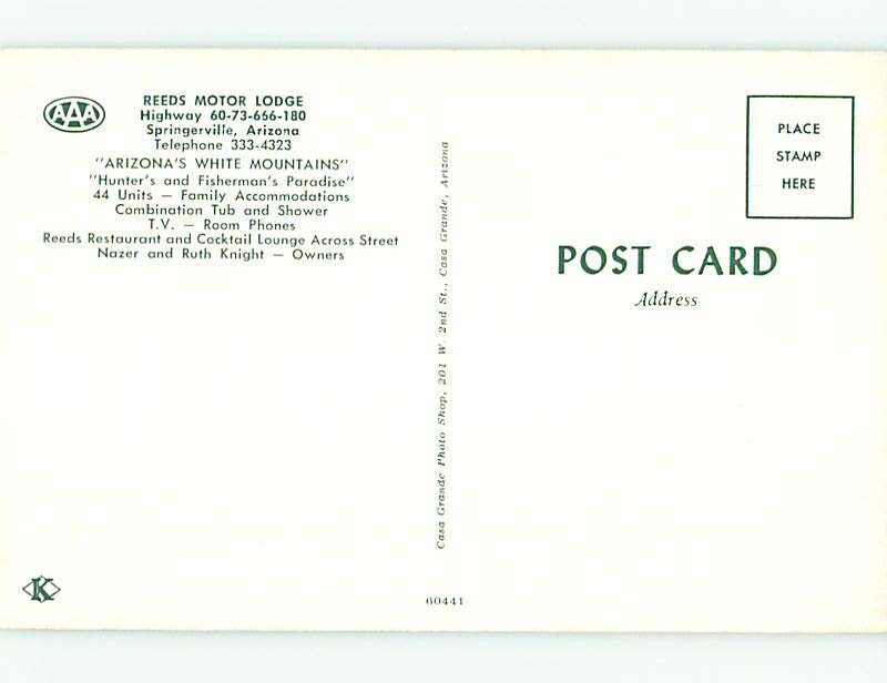 Unused Pre1980 OLD CARS & REEDS MOTOR LODGE MOTEL Springerville AZ