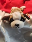 New ListingTy baby Bernie the St. Bernard Dog - some Rare Markings on on Hangtag & Butttag