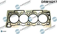 Dr.Motor Automotive DRM16217 Dichtung FüR Zylinderkopf Dichtung