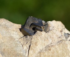 Arsenopyrit 71 Gramm - Schlottwitz, Glashütte, Sachsen, Deutschland