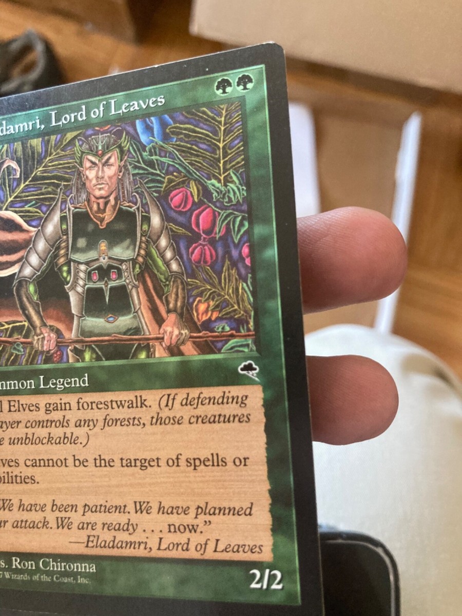 Eladamri, Lord of Leaves Tempest MTG NM-MINT Unplayed 1997 | eBay