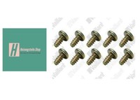 10X Vaillant Schraube 0020107695 / 235715 Blechschraube Vc Vcw Neu Ovp