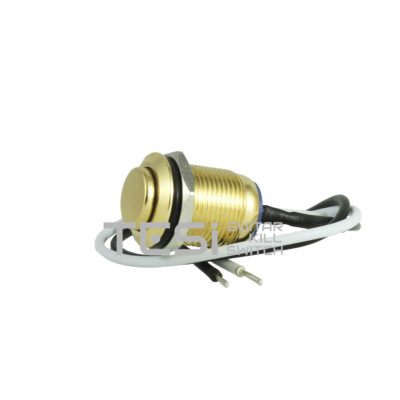Tesi IDO 12MM Gold Metal Momentary Push Button Kill Switch Guitar or Bass