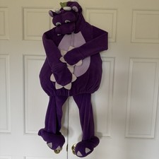 Kids Costume 5T Flying Dragon 2 piece Purple Jacket and Pants Old Navy