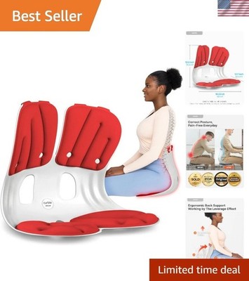 Portable Ergonomic Back Support for Office and Home   Red, 16.5 x 12.7 in