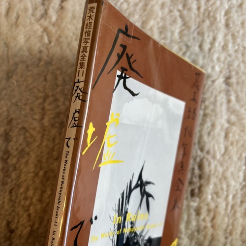 Nobuyoshi Araki “In Ruins” - Imagen 2 de 13