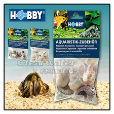Hobby NATURAL HERMIT CRAB SEA SHELLS SET Jumbo Variety Marine Reef Fish Aquarium
