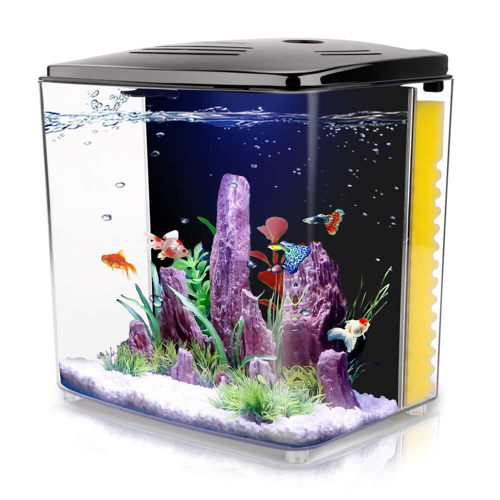 1.2 Gallon Betta Aquarium Starter Kits Square Fish Tank with LED Light and Fi...