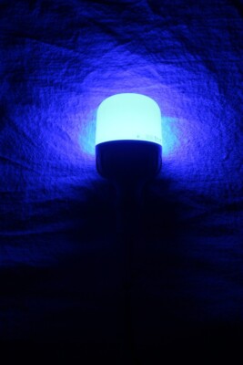 Chicken Lamp Dimmable ES27 10 Watt Blue IP67 Flicker Free
