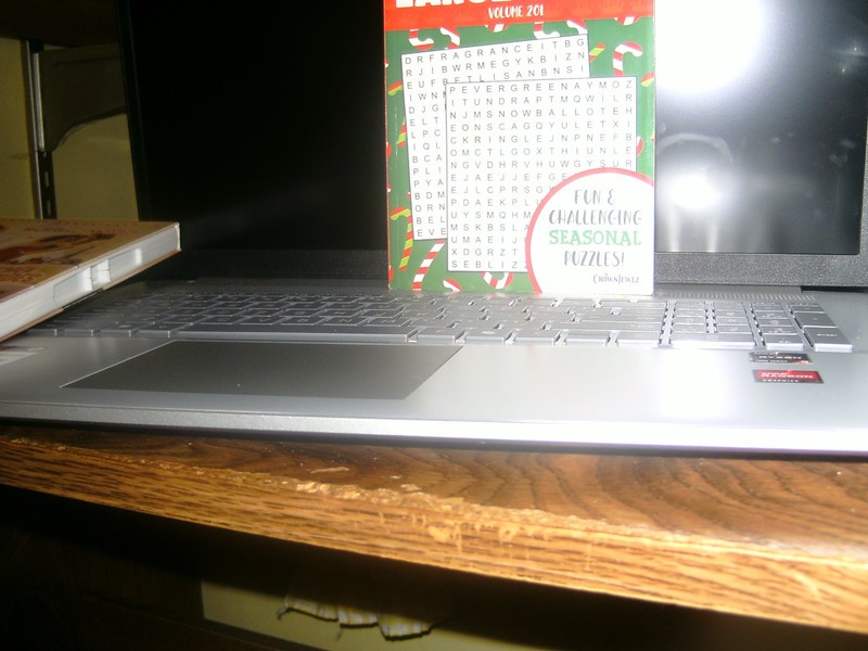 Word Search Seasonal Puzzle Book-Vol. 201!!!!!!!!!!!!!!!!!!!