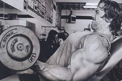Arnold Schwarzenegger Bodybuilding Art Wall Indoor Room Poster - POSTER 20x30