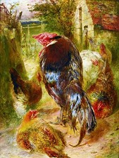COCKEREL IN A FARMYARD Tile Mural Kitchen Bathroom Wall Backsplash Ceramic 6x8