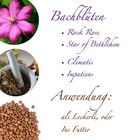 Bild 3 von 4