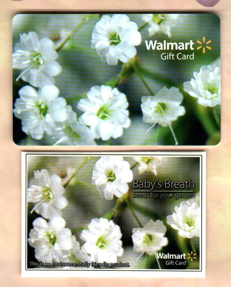 WALMART Baby's Breath Flowers ( 2009 ) Gift Card with Seed Packet ( $0 ) |  eBay