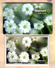 WALMART Baby's Breath Flowers  2009  Gift Card with Seed Packet  0 