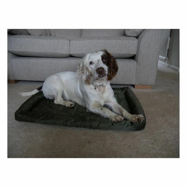 Colchão de cama de cachorro resistente à água jacarandá limpo caixa de gato animal de estimação acolchoada verde - Imagem 4 de 4