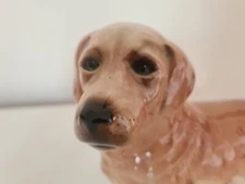 Vintage 1950s Coopercraft Ceramic Golden Retriever /Labrador Dog