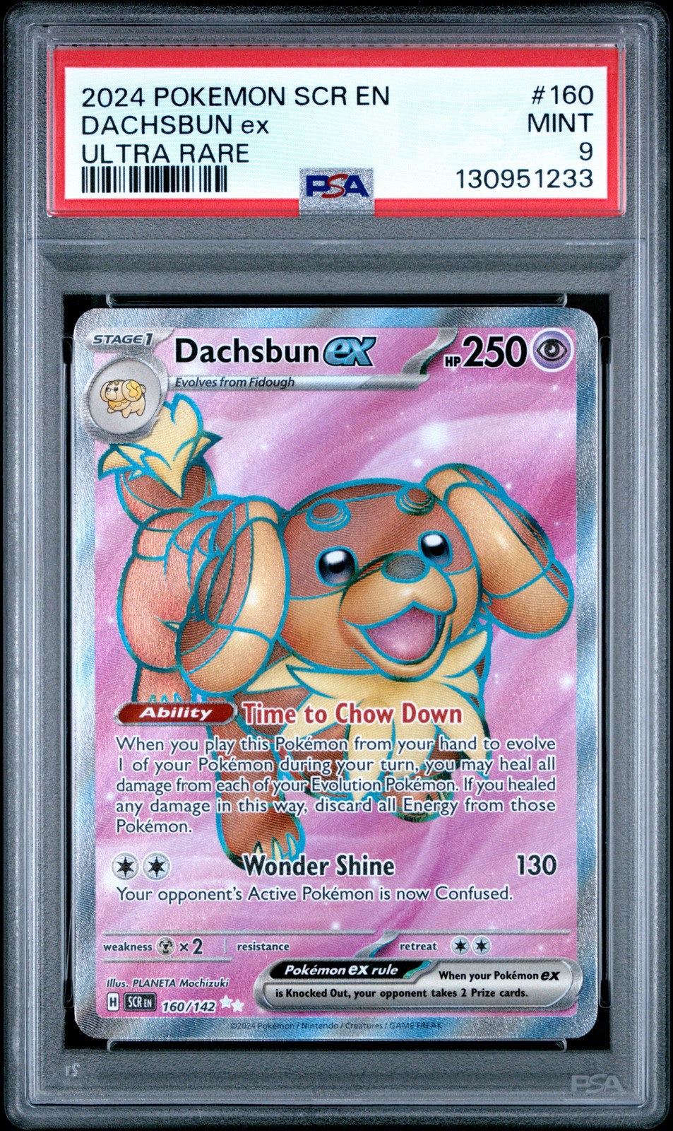Dachsbun ex #160