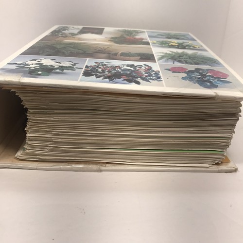 Erfolg mit wachsenden Hauspflanzen HC Illustriertes Buchmappe grüner Daumen - Bild 2 von 20