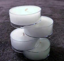 PARTYLITE WOODLAND HIDEAWAY LARGE SCENTED GLOLITE TEALIGHT CANDLES NEW IN BOX