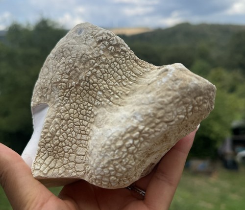 KASCHOLONG Rohstein (1035gr) White Agate, Cacholong rough - Picture 3 of 4