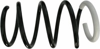 Fahrwerk Federn Vorne Ø160Mm FüR Renault Laguna Coupe Dt0/1 2.0 08-15 540100062R