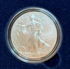 2013 W American Eagle One Ounce Silver Uncirculated Coin