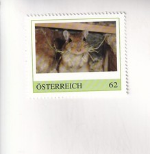 BRIEFMARKE PM Österreich Kleintiere - MAUS WÜSTENRENNMAUS postfrisch