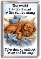 Dogue de Bordeaux Dog Fridge Magnet by Starprint