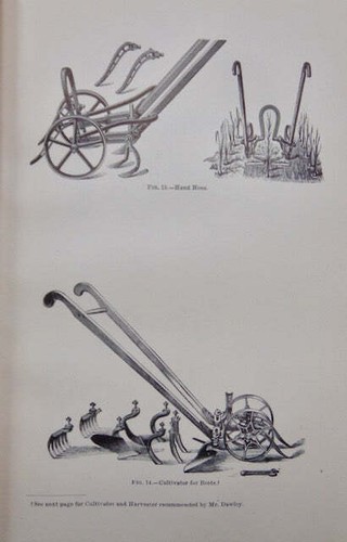 Fifty-sixth Annual Report of the New York State Agricultural Society, 1896 - Picture 5 of 6