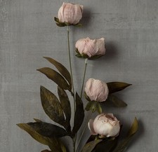 Michael's Ashland Tan Viral Peony Stems Set of 8 New